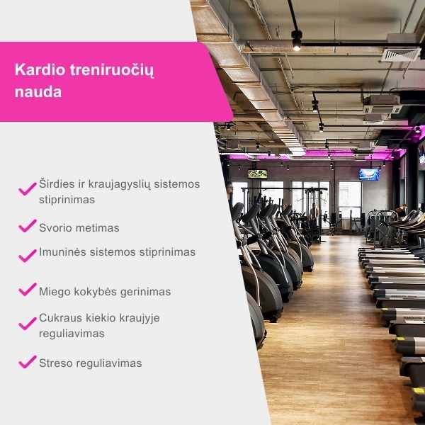 6 punktai kodel naudingos kardio treniruotes